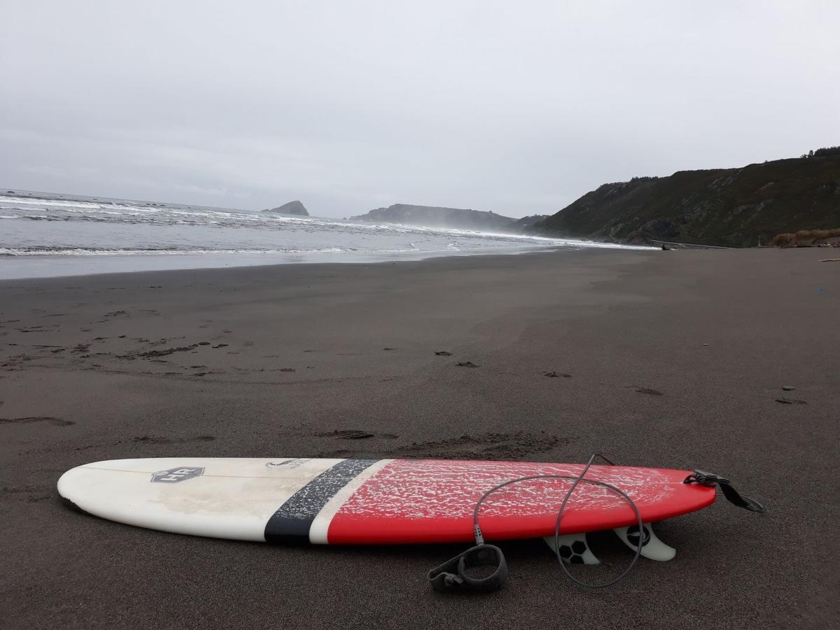 Cocos Surfhouse Hostel La Arena Екстериор снимка